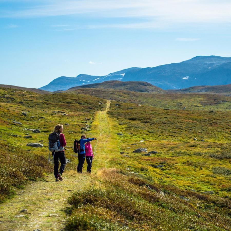 Sommerhotellet Vang I Valdres Exteriér fotografie